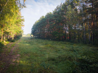 Wyjątkowe działki budowlane w Sokolnikach z MPZP - Sokolniki  - Łódzkie