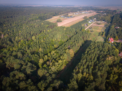 Wyjątkowe działki budowlane w Sokolnikach z MPZP - Sokolniki  -
Łódzkie Zdjęcie nr 3