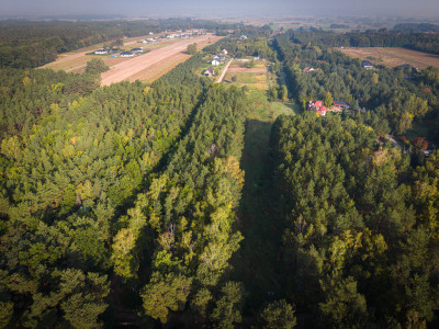 Wyjątkowe działki budowlane w Sokolnikach z MPZP - Sokolniki  -
Łódzkie Zdjęcie nr 5