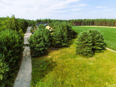 Gotowa pod budowę Działka 1100 m z MPZP - Kopanki  -
Wielkopolskie Zdjęcie nr 10