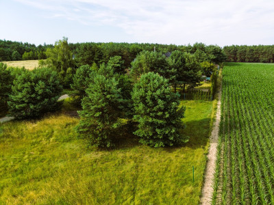 Gotowa pod budowę Działka 1100 m z MPZP - Kopanki  - Wielkopolskie