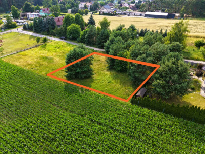 Gotowa pod budowę Działka 1100 m z MPZP - Kopanki  -
Wielkopolskie Zdjęcie nr 6