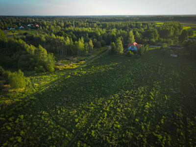 Przestronna działka 3001 m Ignaców - Ignaców  -
Łódzkie Zdjęcie nr 6