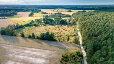 Widok na las 5 min od miasta - Nowy Dwór  -
Wielkopolskie Zdjęcie nr 10