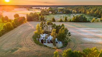 Widok na las 5 min od miasta - Nowy Dwór  -
Wielkopolskie Zdjęcie nr 14