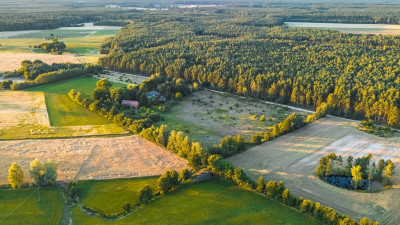 Widok na las 5 min od miasta - Nowy Dwór  - Wielkopolskie