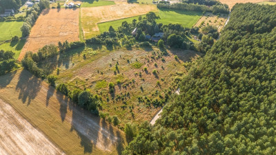 Widok na las 5 min od miasta - Nowy Dwór  -
Wielkopolskie Zdjęcie nr 7