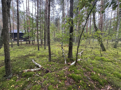 Twoje prywatne grzyby Działka 1993 m Nowy Adamów - Nowy Adamów  -
Łódzkie Zdjęcie nr 13