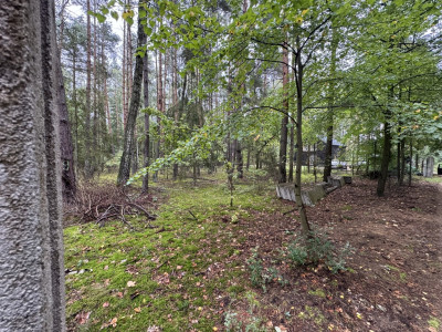 Twoje prywatne grzyby Działka 1993 m Nowy Adamów - Nowy Adamów  -
Łódzkie Zdjęcie nr 4