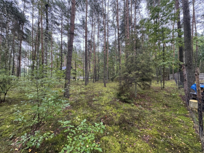 Twoje prywatne grzyby Działka 1993 m Nowy Adamów - Nowy Adamów  -
Łódzkie Zdjęcie nr 6