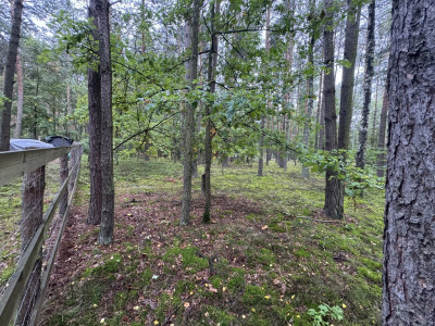 Twoje prywatne grzyby Działka 1993 m Nowy Adamów - Nowy Adamów  -
Łódzkie Zdjęcie nr 7