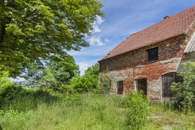 Działa z budynkiem gospodarczym Bożnów - Bożnów  -
Lubuskie Zdjęcie nr 8