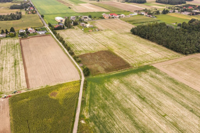 Działka budowlana Dobra Nadzieja - Dobra Nadzieja  -
Wielkopolskie Zdjęcie nr 2