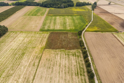 Działka budowlana Dobra Nadzieja - Dobra Nadzieja  -
Wielkopolskie Zdjęcie nr 4