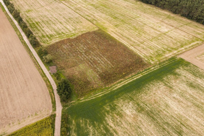 Działka budowlana Dobra Nadzieja - Dobra Nadzieja  -
Wielkopolskie Zdjęcie nr 6