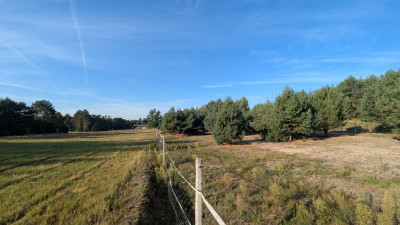 Kazimierzów  działka budowlana   68 ar terenu - Kazimierzów  -
Lubelskie Zdjęcie nr 2