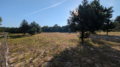 Kazimierzów  działka budowlana   68 ar terenu - Kazimierzów  -
Lubelskie Zdjęcie nr 3