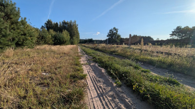 Kazimierzów  działka budowlana   68 ar terenu - Kazimierzów  -
Lubelskie Zdjęcie nr 4