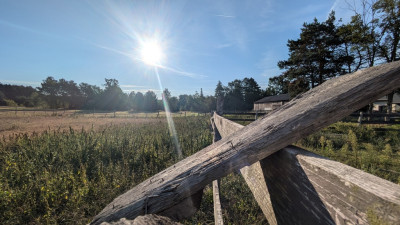 Kazimierzów  działka budowlana   68 ar terenu - Kazimierzów  -
Lubelskie Zdjęcie nr 6