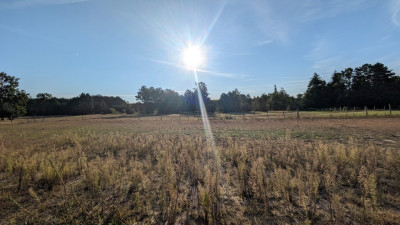 Kazimierzów  działka budowlana   68 ar terenu - Kazimierzów  -
Lubelskie Zdjęcie nr 8