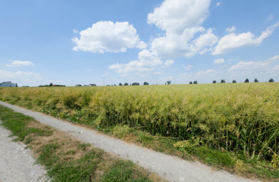Działka 1140 m Przeworsk ul Korczaka  MPZP - Przeworsk  -
Podkarpackie Zdjęcie nr 10