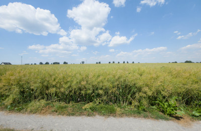 Działka 1140 m Przeworsk ul Korczaka  MPZP - Przeworsk  -
Podkarpackie Zdjęcie nr 11