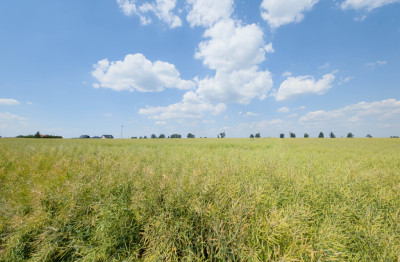 Działka 1140 m Przeworsk ul Korczaka  MPZP - Przeworsk  -
Podkarpackie Zdjęcie nr 7