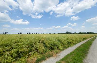 Działka 1140 m Przeworsk ul Korczaka  MPZP - Przeworsk  -
Podkarpackie Zdjęcie nr 8