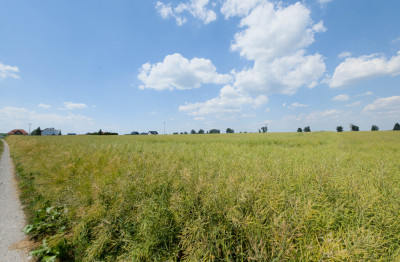 Działka 1140 m Przeworsk ul Korczaka  MPZP - Przeworsk  -
Podkarpackie Zdjęcie nr 9