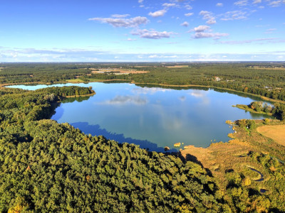 Działka budowlana MPZP - projekt dom parterowy gratis 1477m2 - Rościnno  -
Wielkopolskie Zdjęcie nr 6
