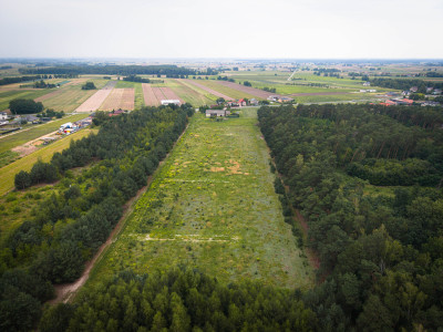 Leśna oaza 1085 m  Sokolniki-Parcela  MPZP - Sokolniki-Parcela  -
Łódzkie Zdjęcie nr 3