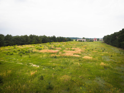 Leśna oaza 1085 m  Sokolniki-Parcela  MPZP - Sokolniki-Parcela  -
Łódzkie Zdjęcie nr 5