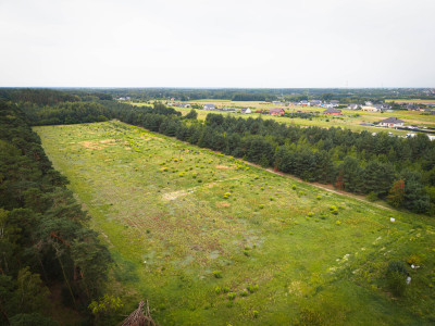 Leśna oaza 1011 m  Sokolniki-Parcela  MPZP - Sokolniki-Parcela  -
Łódzkie Zdjęcie nr 3