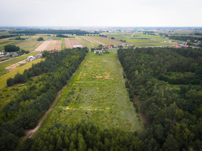 Leśna oaza 1011 m  Sokolniki-Parcela  MPZP - Sokolniki-Parcela  -
Łódzkie Zdjęcie nr 5