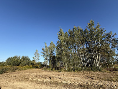Działka budowlana 1707m2 Bukowiec gm Brójce - Bukowiec  -
Łódzkie Zdjęcie nr 10