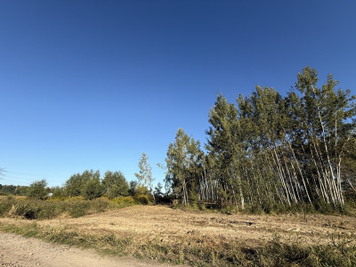 Działka budowlana 1707m2 Bukowiec gm Brójce - Bukowiec  -
Łódzkie Zdjęcie nr 11
