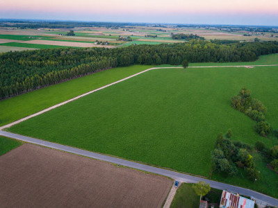 14 działek 5 minut od Jeziora Lubieńskiego  1000-1499 m2 - Kanibród  -
Kujawsko-Pomorskie Zdjęcie nr 4