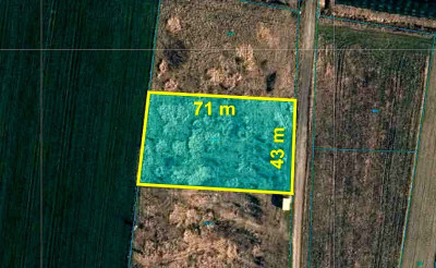 Działka 3000m2 z pozwoleniem na budowę Kazimierz - Kazimierz  -
Łódzkie Zdjęcie nr 2