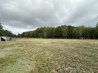 Działka 3400 m las zalew ogrodzona - Miedzna Murowana  -
Łódzkie Zdjęcie nr 10