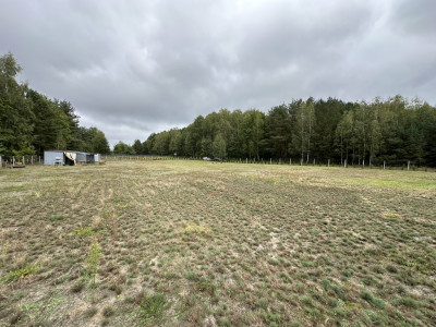 Działka 3400 m las zalew ogrodzona - Miedzna Murowana  -
Łódzkie Zdjęcie nr 11