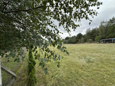 Działka 3400 m las zalew ogrodzona - Miedzna Murowana  -
Łódzkie Zdjęcie nr 14