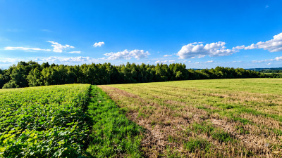 5 działek z warunkami zabudowy  Brzeziny gm Wielopole Skrzyńskie - Brzeziny  - Podkarpackie