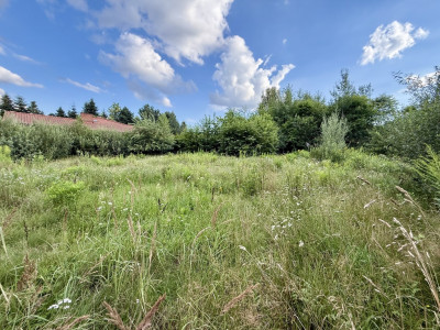 Bukowiec Działka z WZ i pięknym Planem Ogólnym - Bukowiec  -
Łódzkie Zdjęcie nr 5