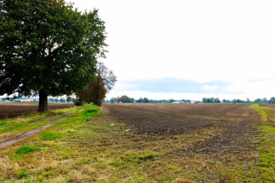 Działka z potencjałem  Sławno  Bobrowiczki - Bobrowiczki  -
Zachodniopomorskie Zdjęcie nr 12