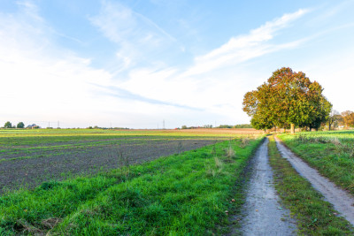 Działka z potencjałem  Sławno  Bobrowiczki - Bobrowiczki  -
Zachodniopomorskie Zdjęcie nr 4