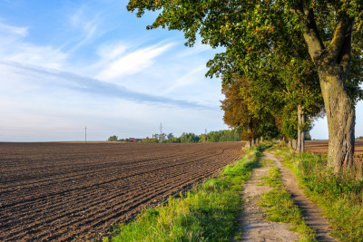 Działka z potencjałem  Sławno  Bobrowiczki - Bobrowiczki  -
Zachodniopomorskie Zdjęcie nr 6