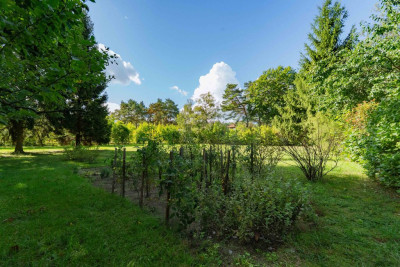 Działka budowlana Tanowo - 1266 m2 woda prąd gaz - Tanowo  -
Zachodniopomorskie Zdjęcie nr 9