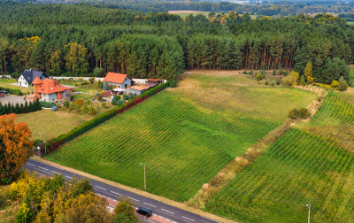178 ha  potencjał na 1214 działek i zysk - Chełm Żarski  -
Lubuskie Zdjęcie nr 11