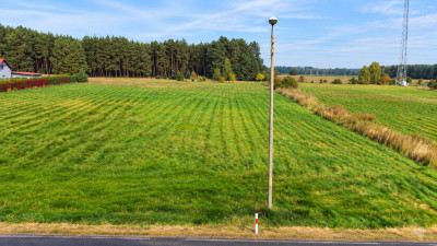 178 ha  potencjał na 1214 działek i zysk - Chełm Żarski  -
Lubuskie Zdjęcie nr 12
