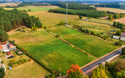 178 ha  potencjał na 1214 działek i zysk - Chełm Żarski  -
Lubuskie Zdjęcie nr 2